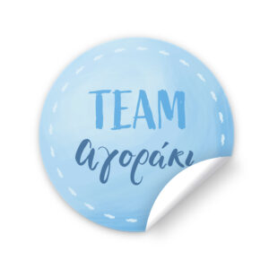 Αυτοκόλλητα για Gender Reveal - Team Αγοράκι (6 τεμ)