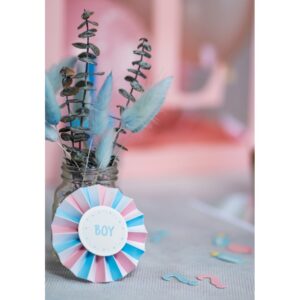Σετ Αυτοκόλλητα & Κονκάρδες για Gender Reveal (18 τεμ)