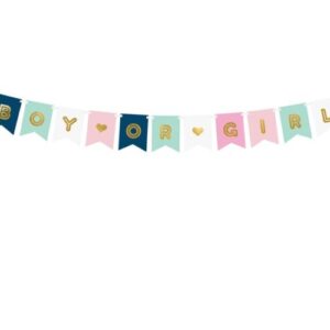 Μπάνερ για Gender Reveal "Boy or Girl" (175cm)